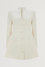 Button Down Dress